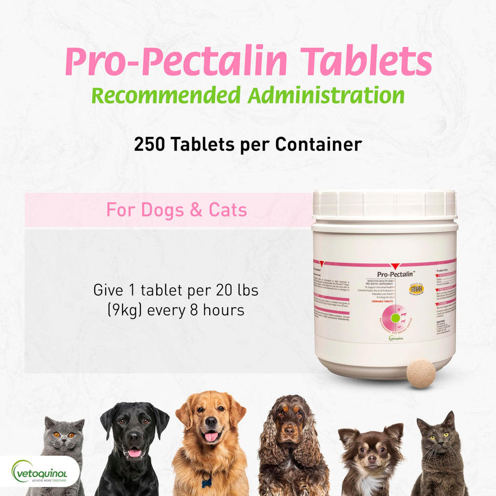 Control de diarrea ocasional con Pro-Pectalin de Vetoquinol.
