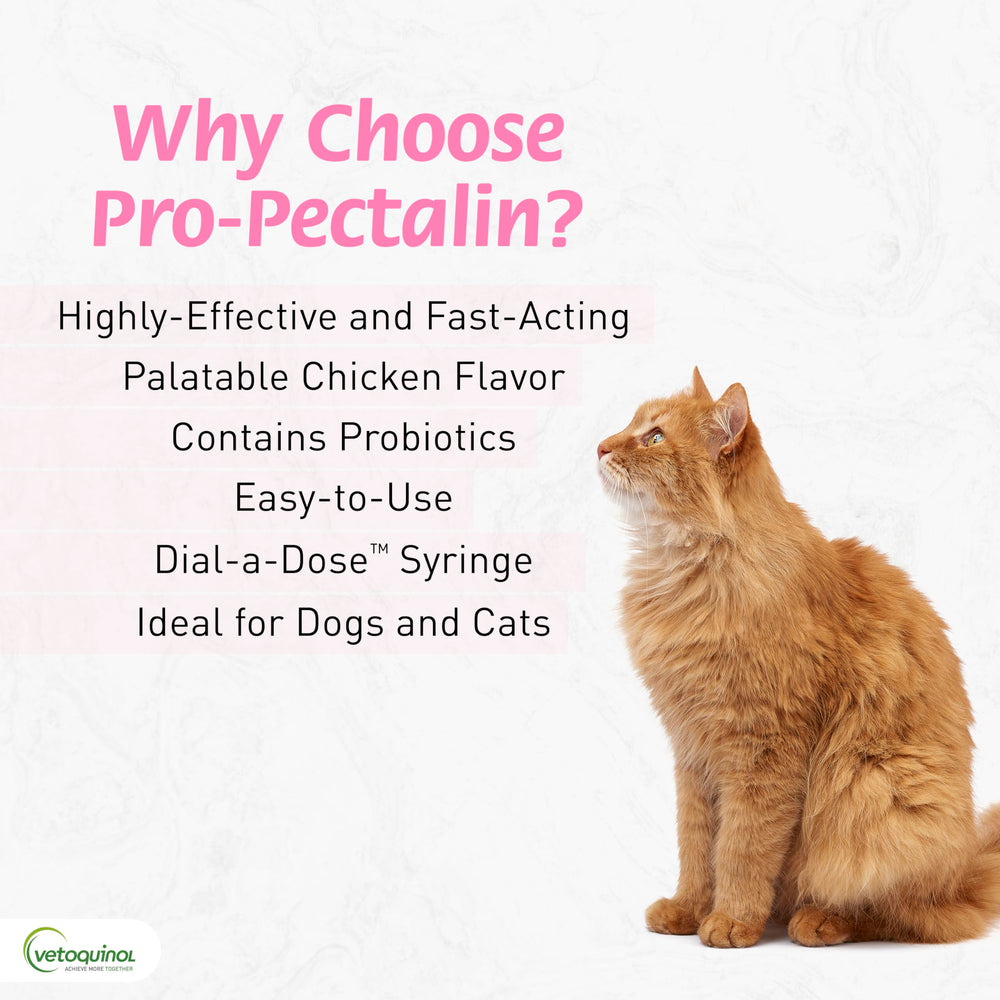 Pro-Pectalin sabor pollo facilita administración en perros y gatos.