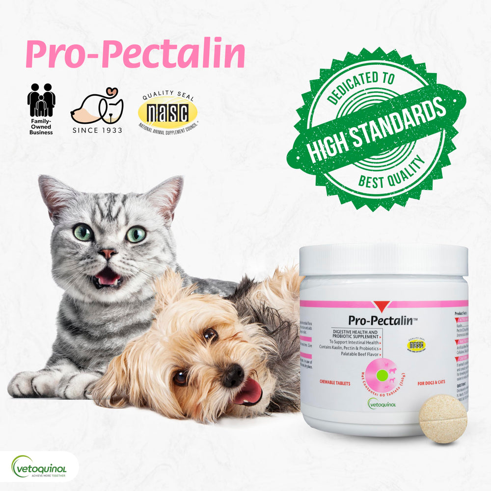 Pro-Pectalin incluye probióticos para apoyar la salud intestinal de perros y gatos.