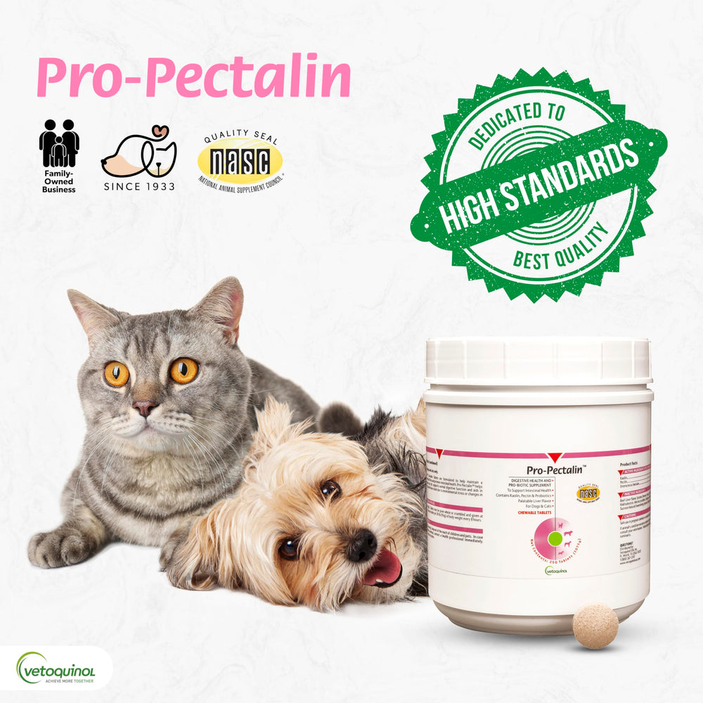 Pro-Pectalin para perros y gatos, tabletas masticables para facilitar la toma.