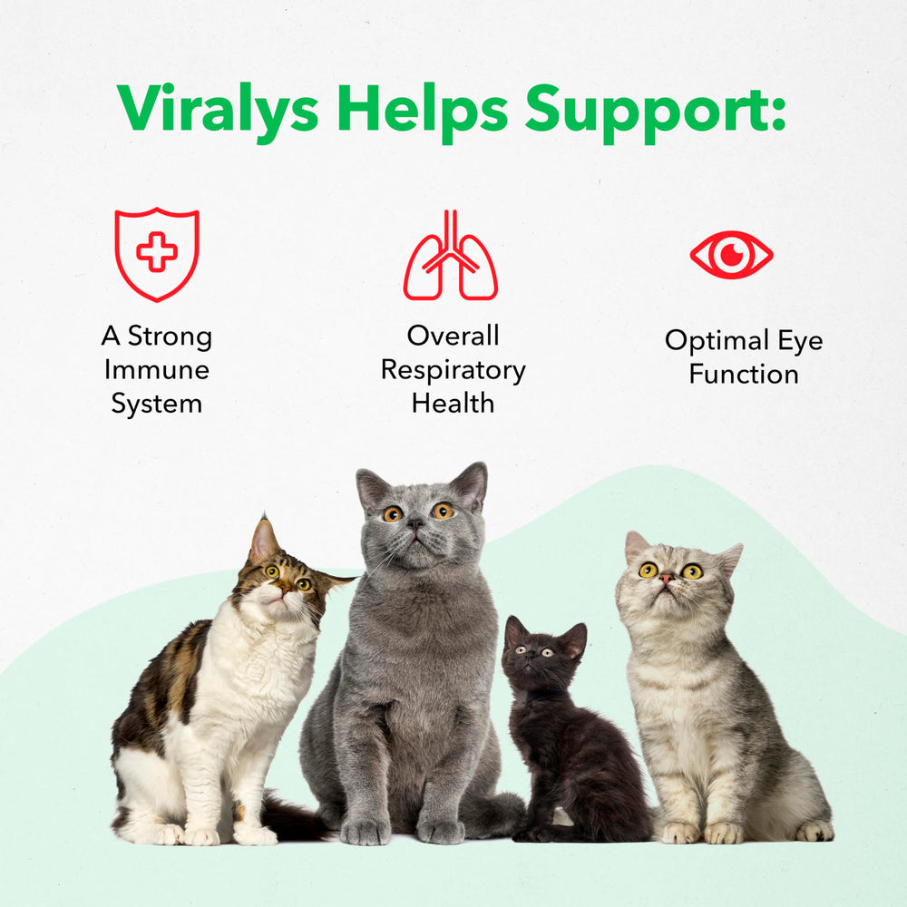 Vetoquinol Viralys: apoyo a ojos y sistema respiratorio en gatos.
