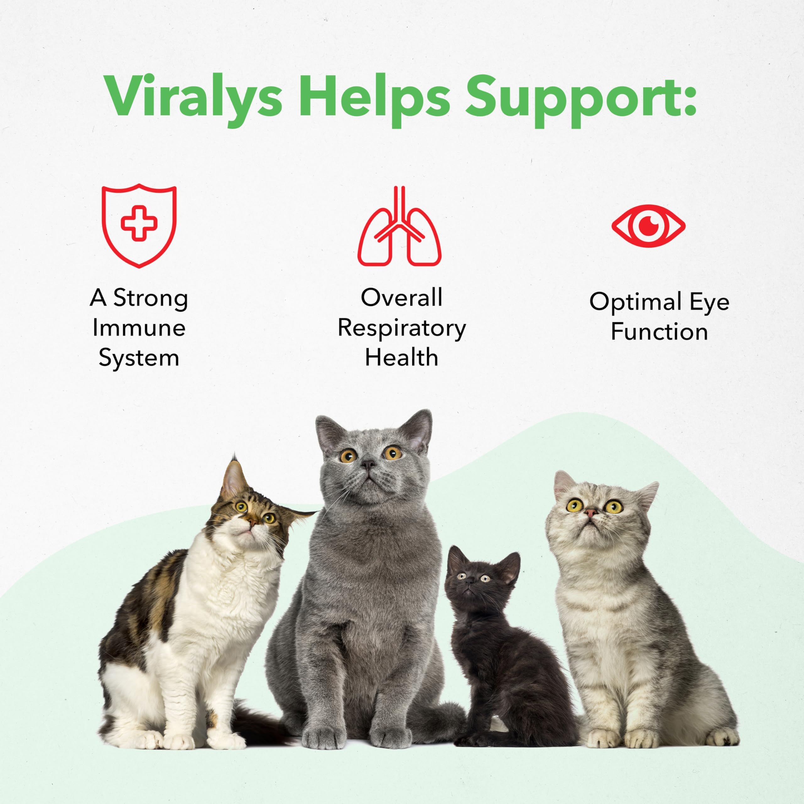 Vetoquinol Viralys Gel uso diario seguro para felinos.