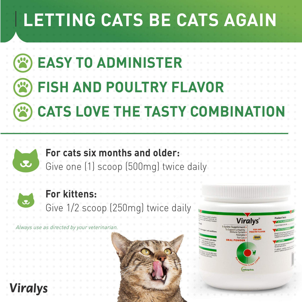 Uso diario de Viralys para gatos, apoyo ocular y respiratorio.