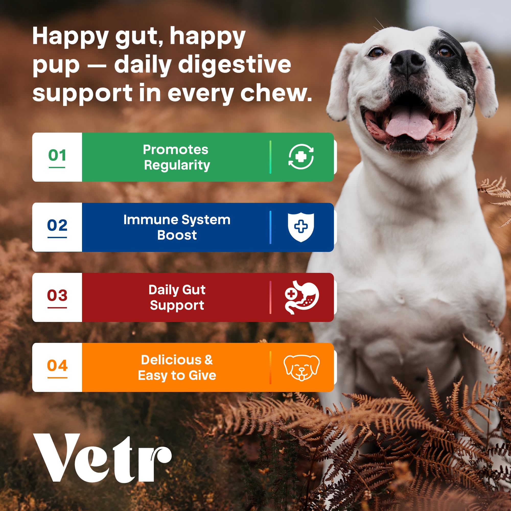 Vetr Probiotic Chews, dosis diaria según tamaño del perro.
