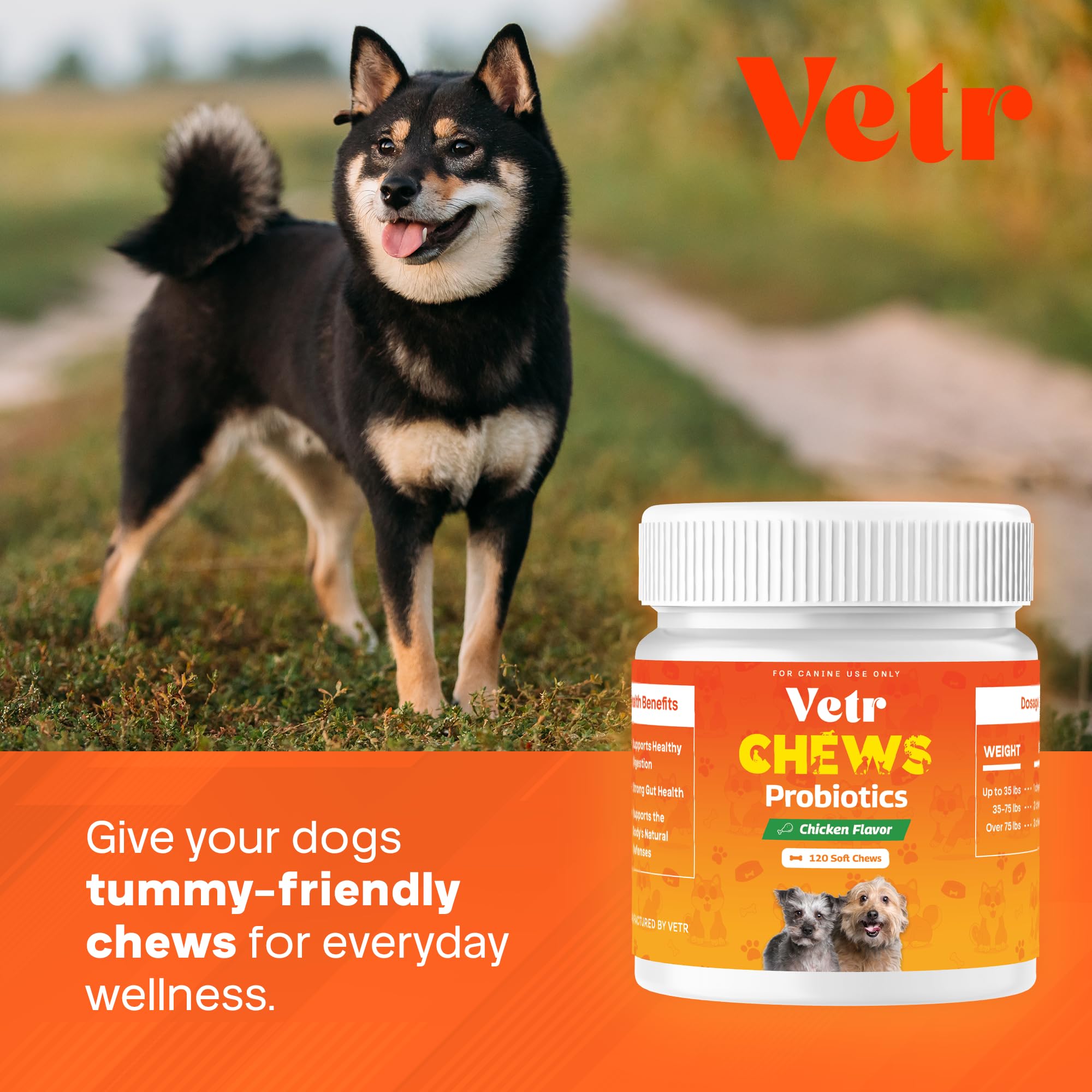 Vetr Probiotic Chews, fabricación en USA, calidad garantizada para la salud digestiva.