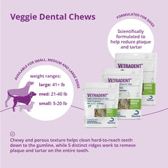 Vetradent – limpieza de dientes en perros pequeños con masticables de textura porosa.
