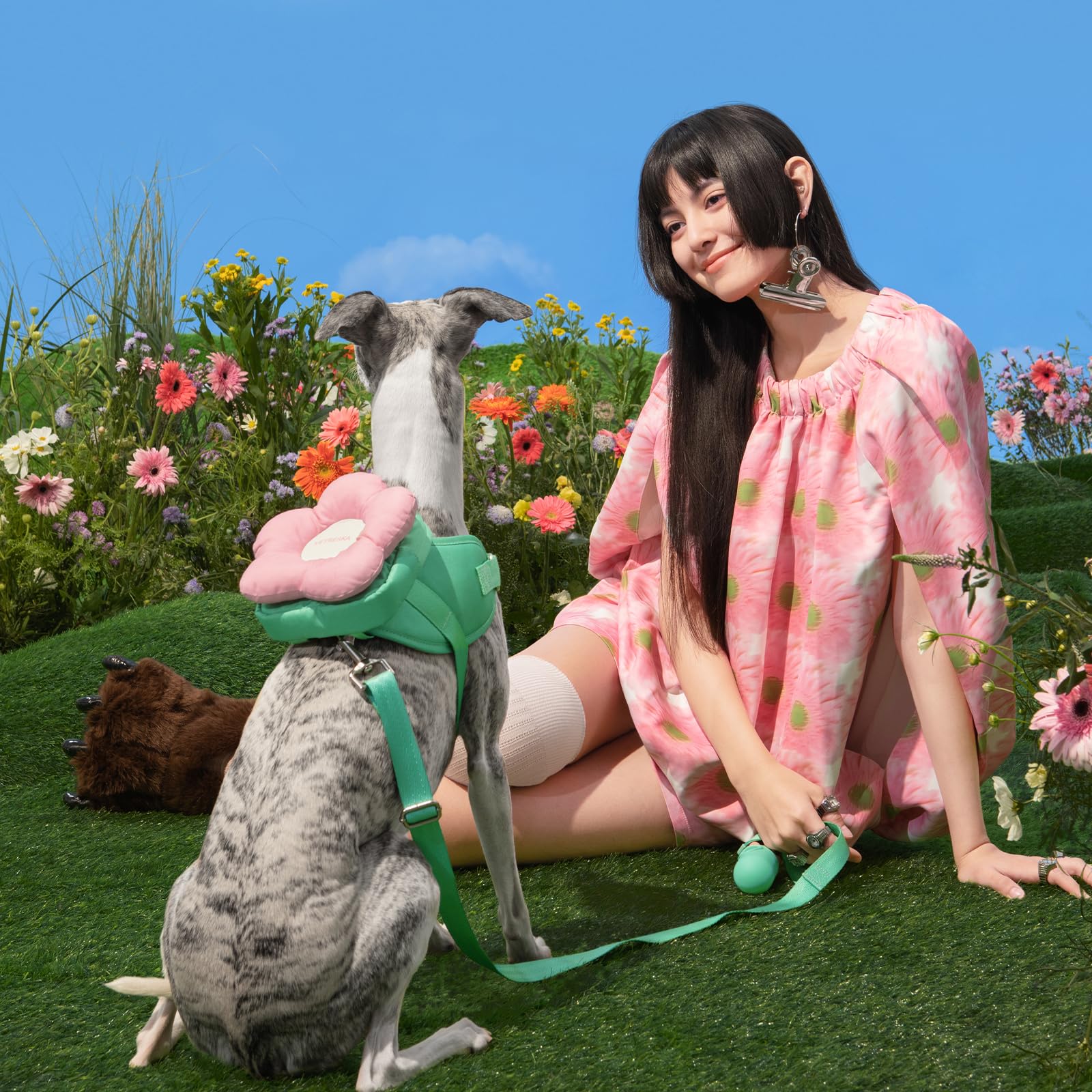 Tallas variadas Flora para perros de diferentes tamaños