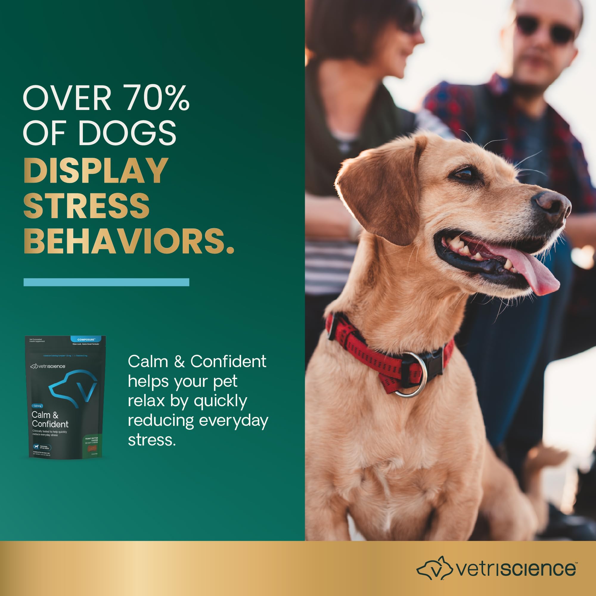 VETRISCIENCE Calm & Confident: perro viajando en coche con calma