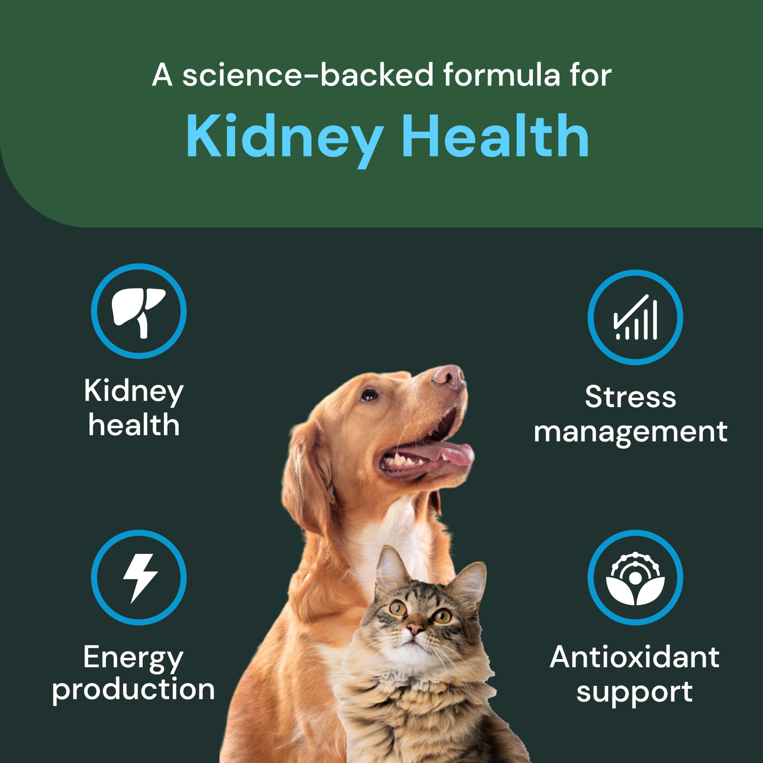 VetriScience uso diario para gatos y perros, apoyo renal