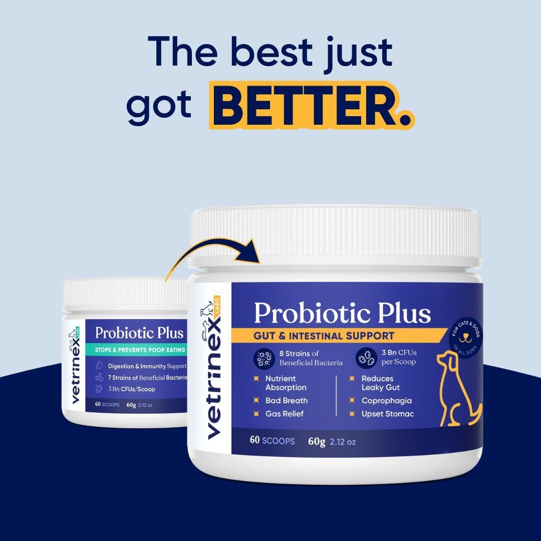 Vetrinex Labs 7 especies beneficiosas, probiótico para equilibrio intestinal.