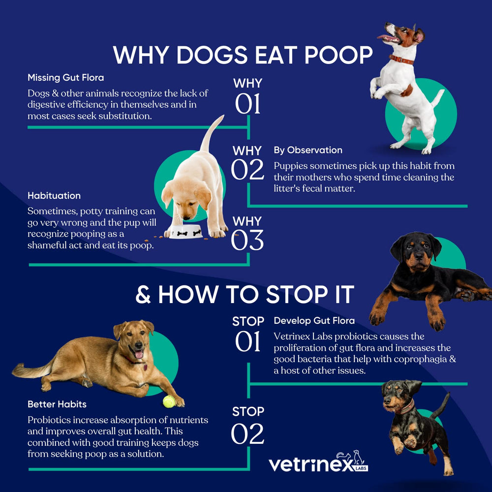 Vetrinex Labs uso diario para gatos y cachorros, posible apoyo digestivo.