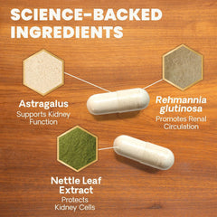 VetriScience antioxidantes y plantas para la protección de células renales