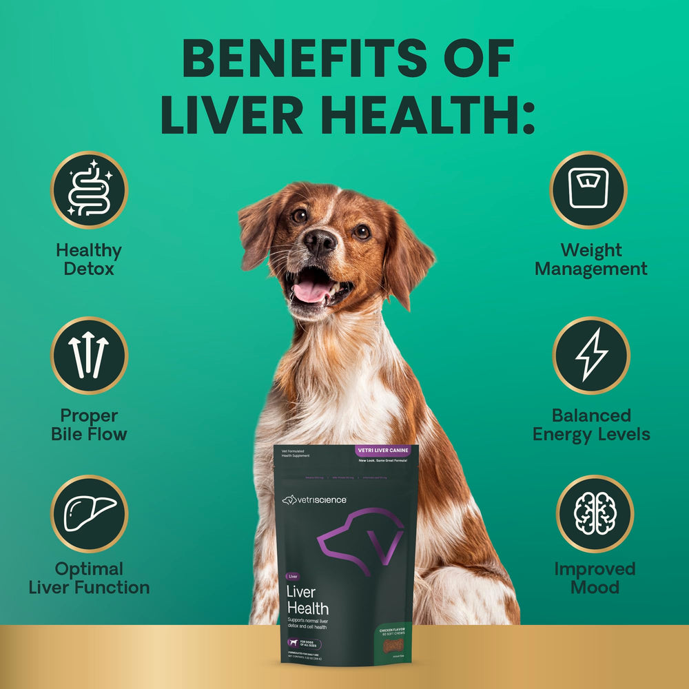 Apoyo al flujo de bilis y detoxificación natural en perros