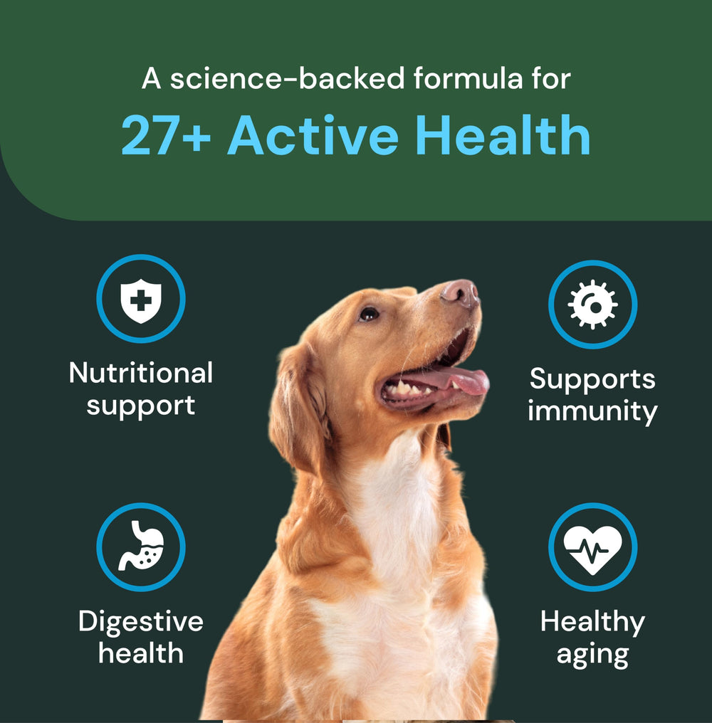 VetriScience ayuda al sistema inmunológico canino con vitaminas y minerales.