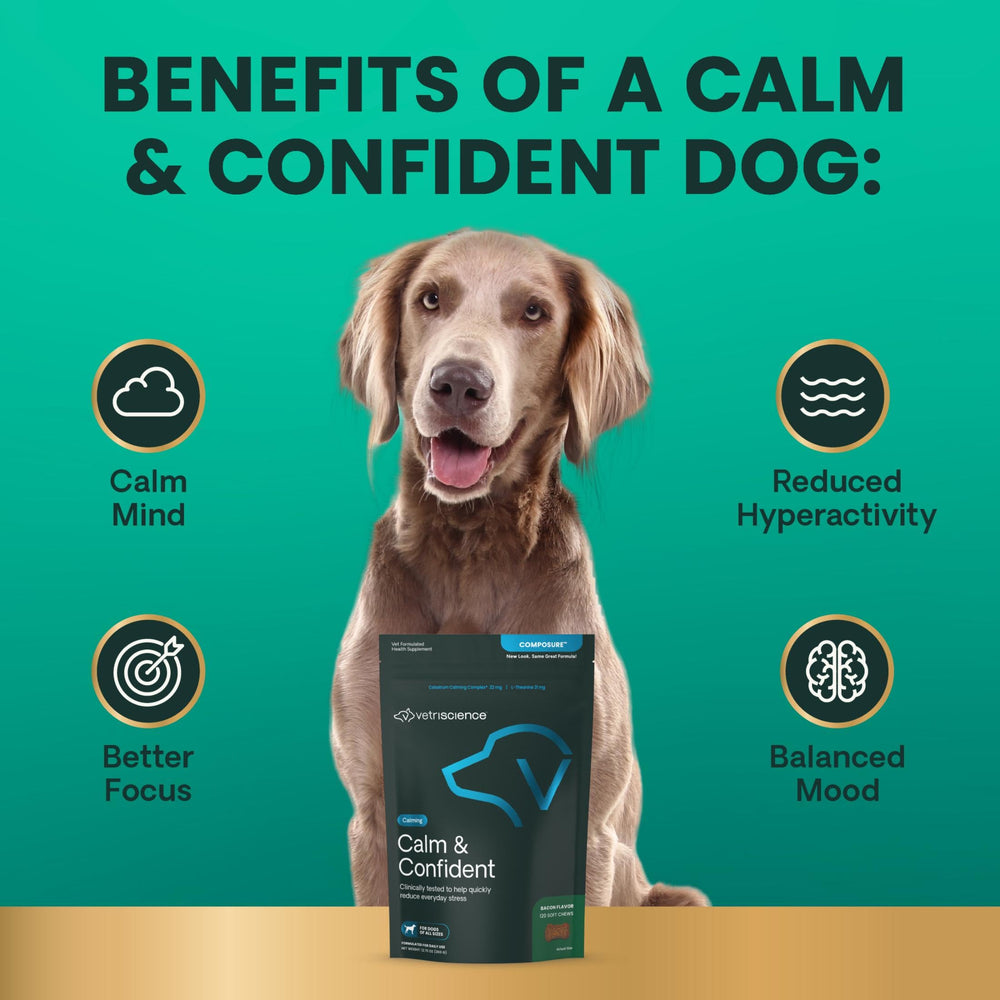 VETRISCIENCE Calm & Confident caja del producto en mesa.