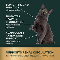 VetriScience cuidado renal diario para gatos