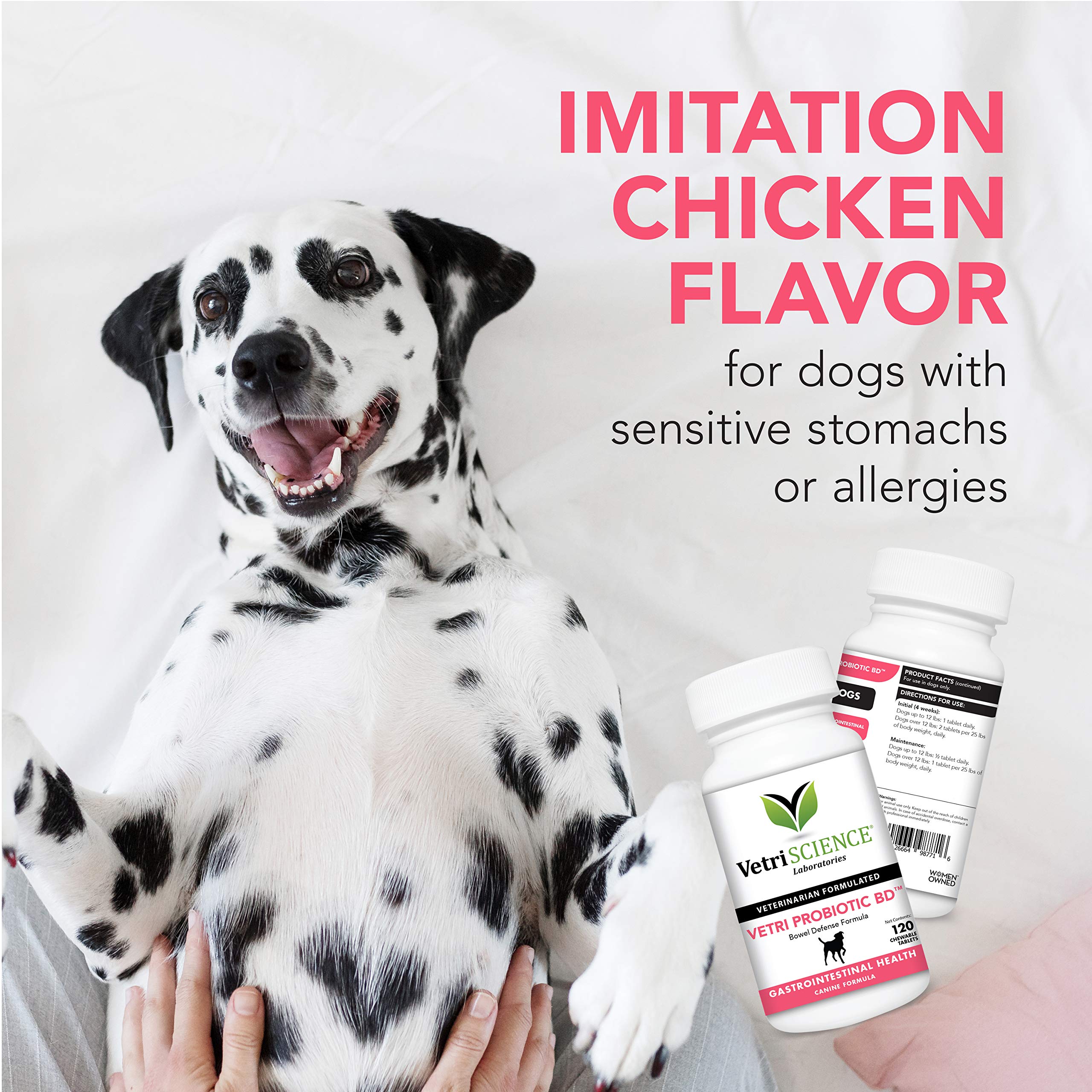 Defensa intestinal en perros con VetriScience