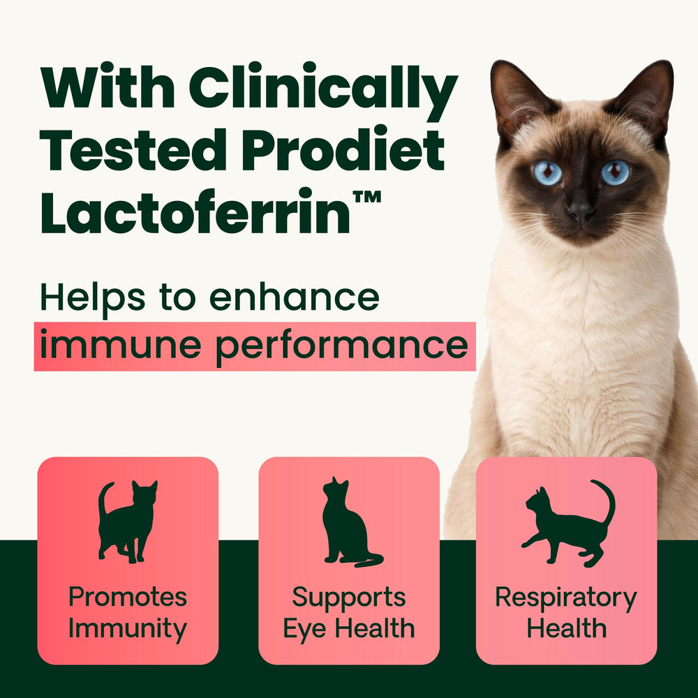 Dosis de 1000 mg para gatos, guía de administración sencilla en frasco.