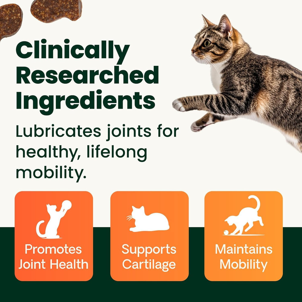 VetriScience glucosamina y MSM para gato, apoyo a la salud de articulaciones