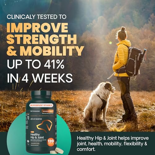 VetriScience GlycoFlex glucosamina: tabletas para perros, sabor a pollo, apoyo articular.