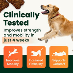 GlycoFlex 3: dos packs para consistencia en el cuidado articular del perro.