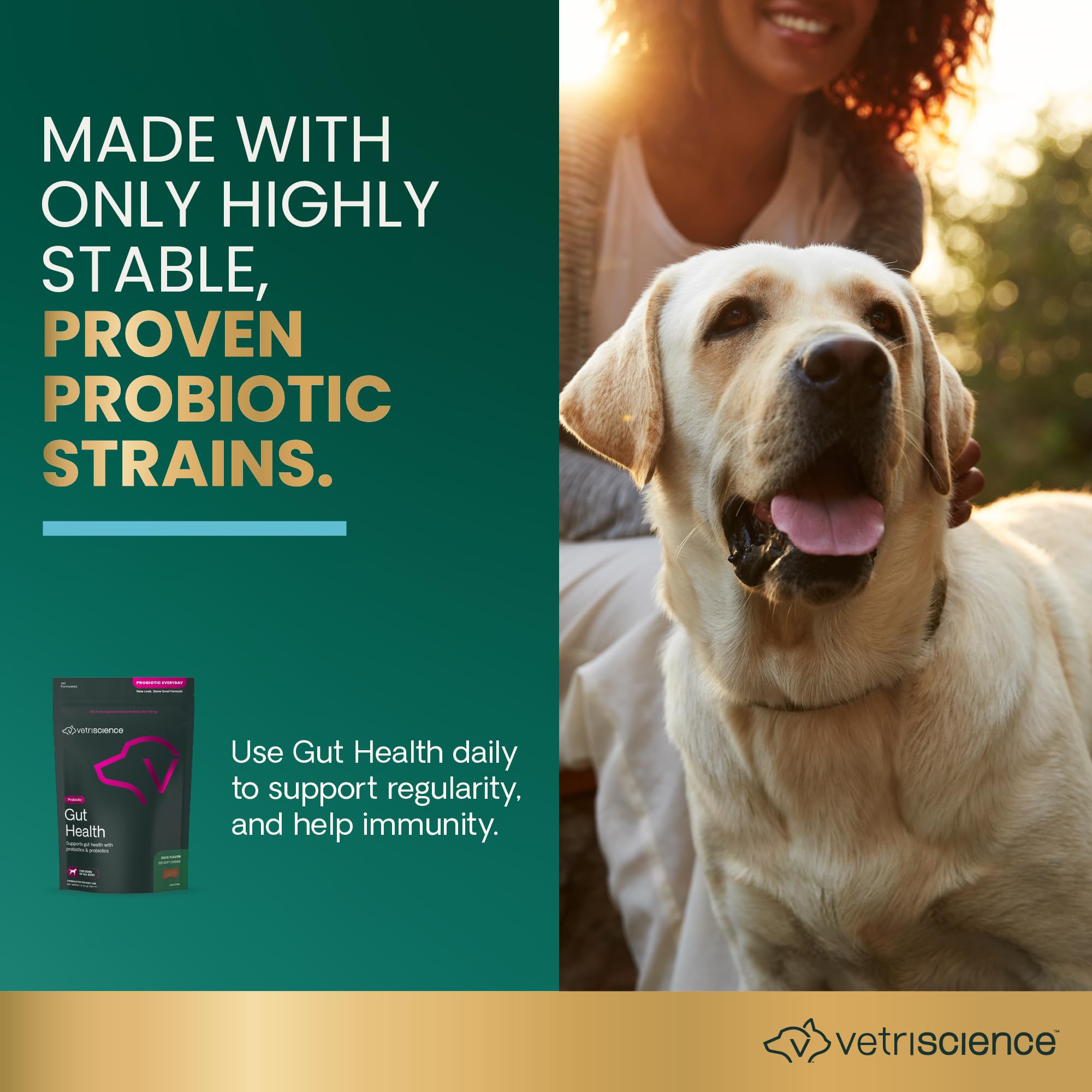 VetriScience Gut Health Chews envase, opción conveniente para probióticos caninos.