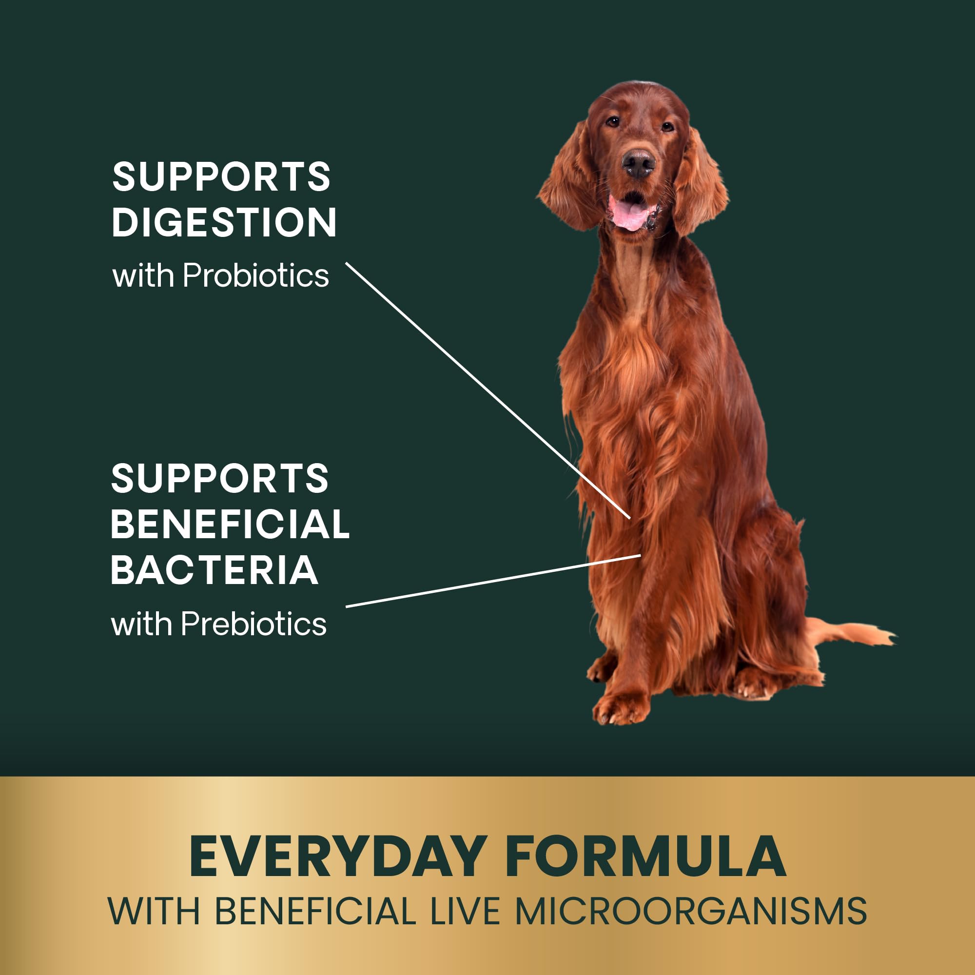 VetriScience Gut Health Chews etiqueta frontal, información sobre CFU por porción.