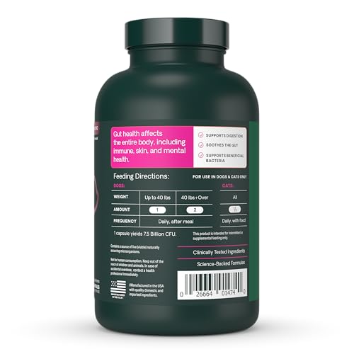 VetriScience Gut Health: presentación clara para incorporar en comida diaria