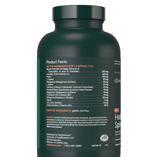 VetriScience Healthy Spine & Disc: basset hound beneficiándose del soporte de columna.