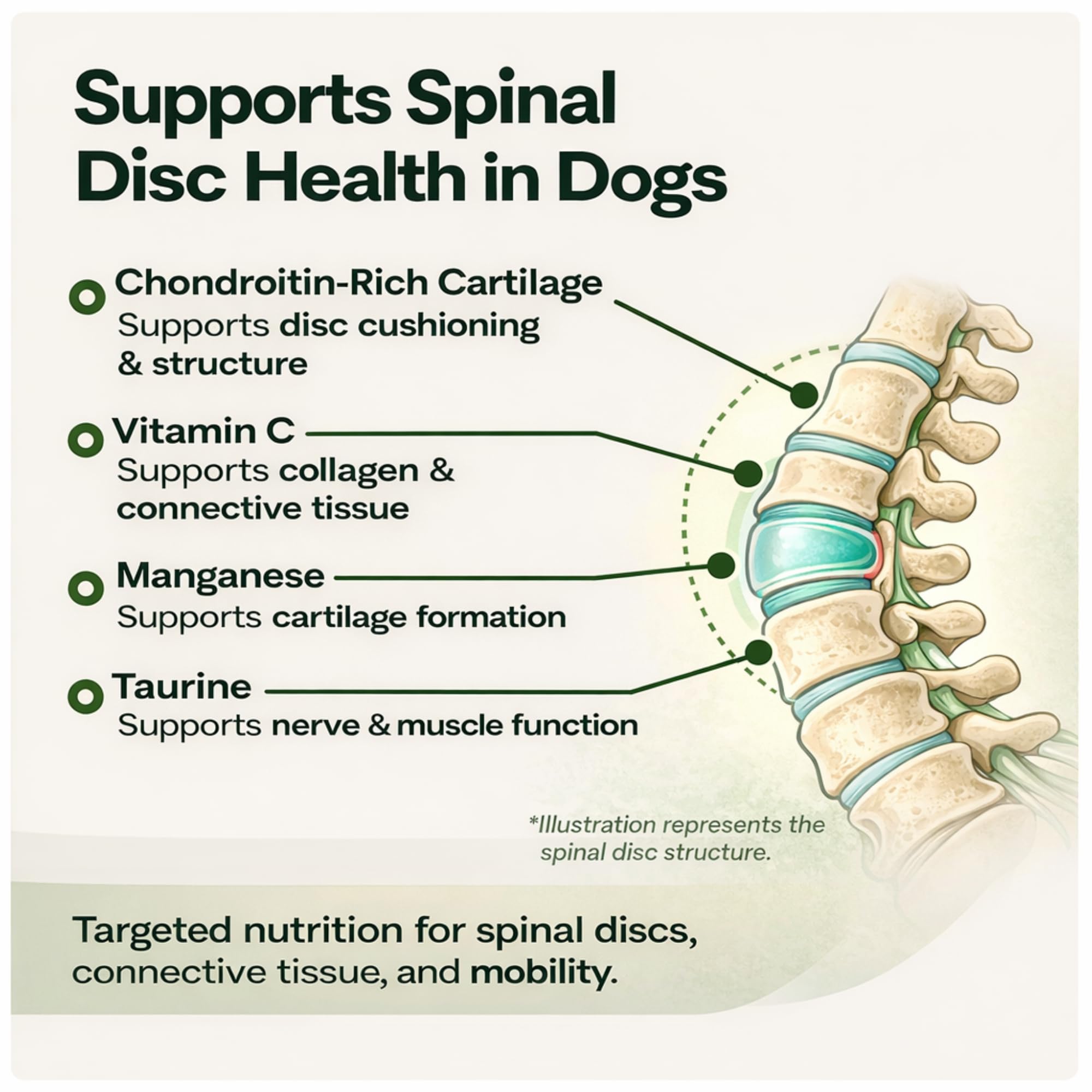VetriScience Healthy Spine & Disc: cápsulas abiertas para espolvorear en comida.