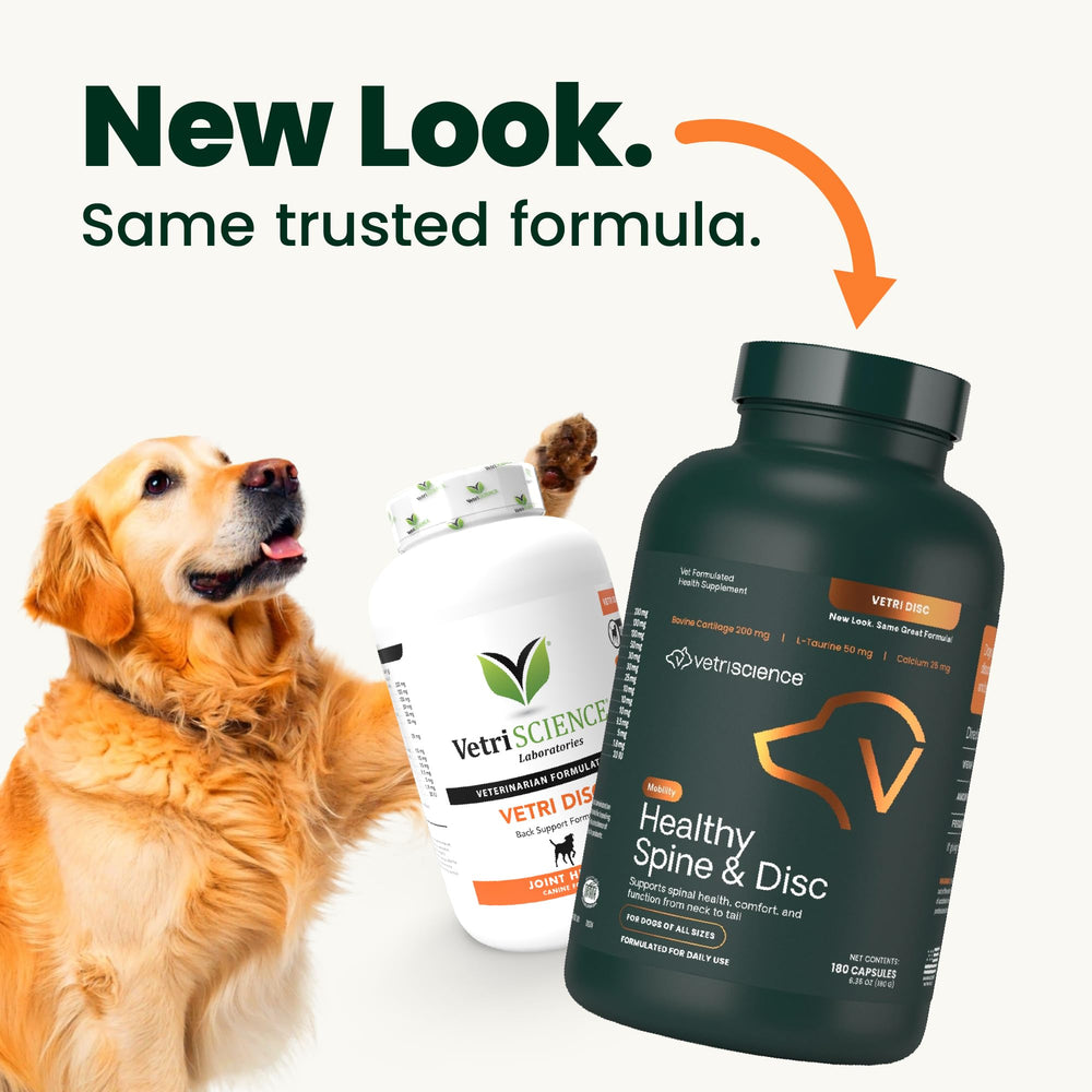 VetriScience Healthy Spine & Disc: cápsulas cerradas para dosificación diaria.