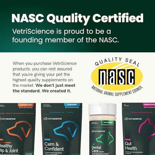 VetriScience Healthy Spine & Disc: corgi usando la fórmula de apoyo de espalda.