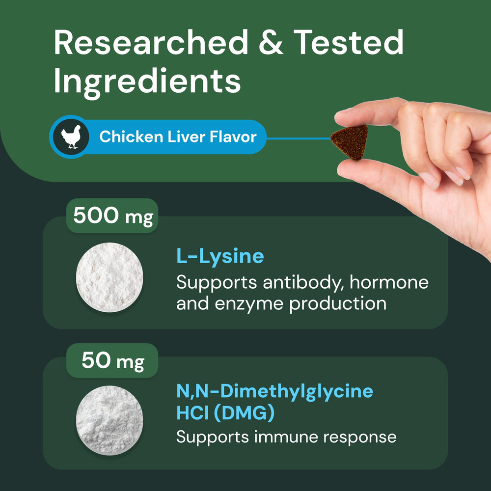 VetriScience ingredientes clave lisina y DMG, fórmula felina