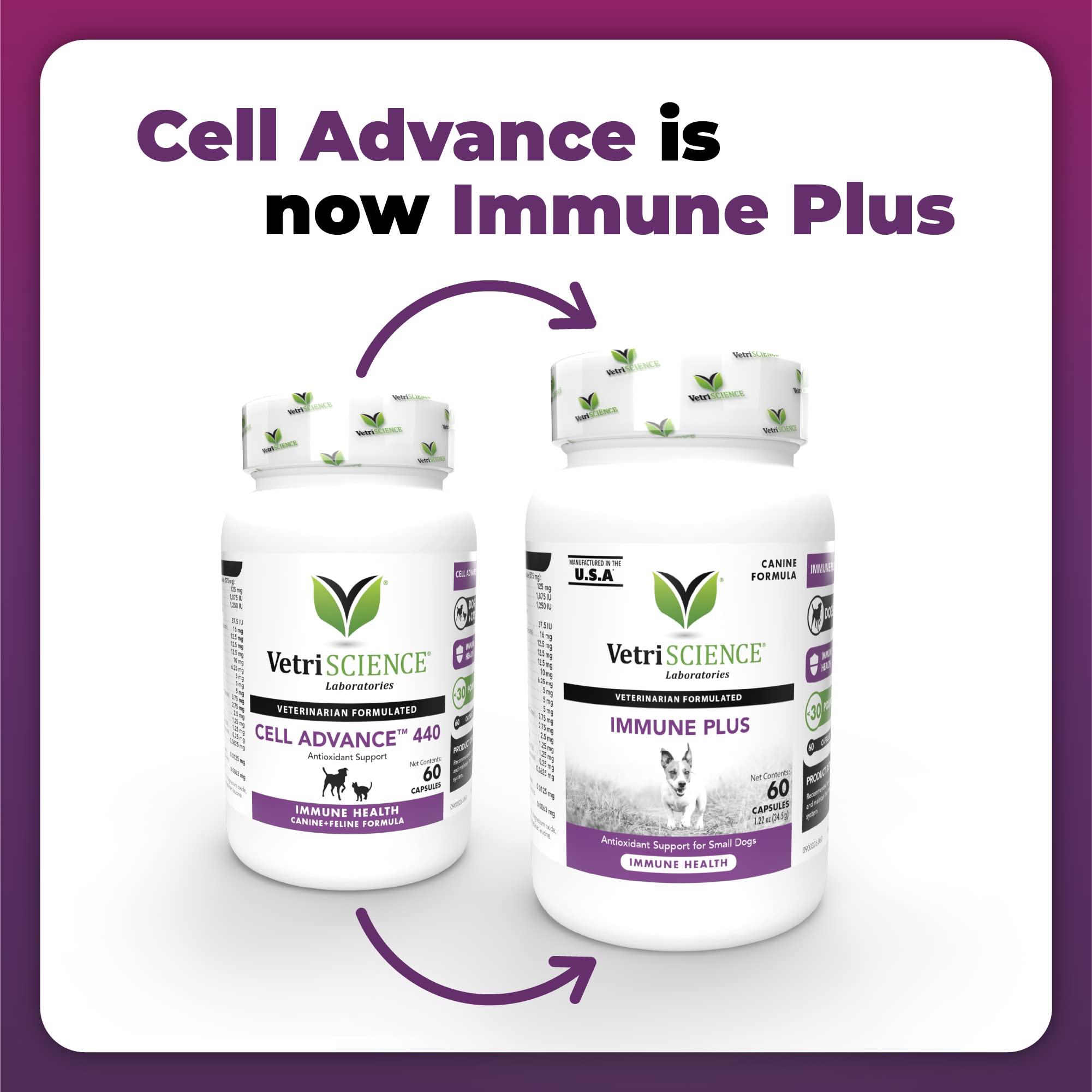 Vitaminas A, C y E en VetriScience Immunity Health para apoyo inmunitario.