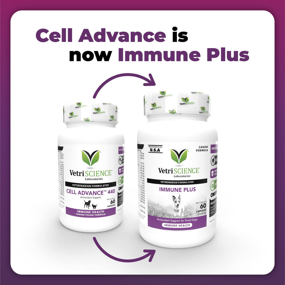 Vitaminas A, C y E en VetriScience Immunity Health para apoyo inmunitario.