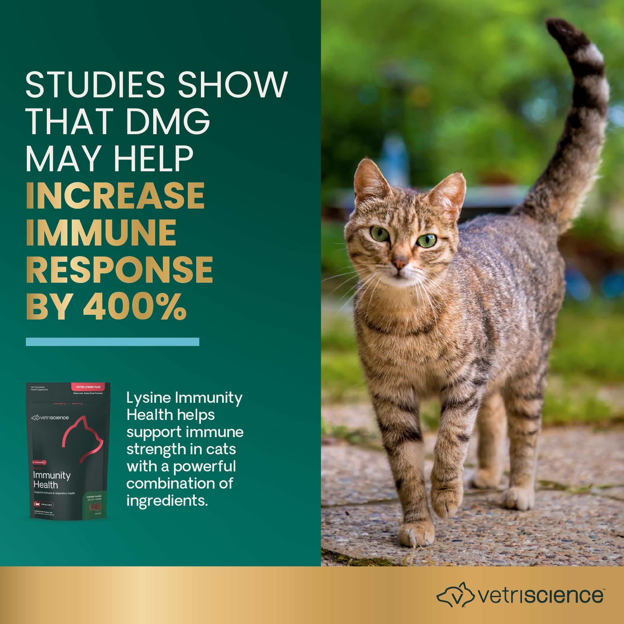 VETRISCIENCE Lisina Inmunidad Salud, gomitas sabor pollo para fácil consumo felino.