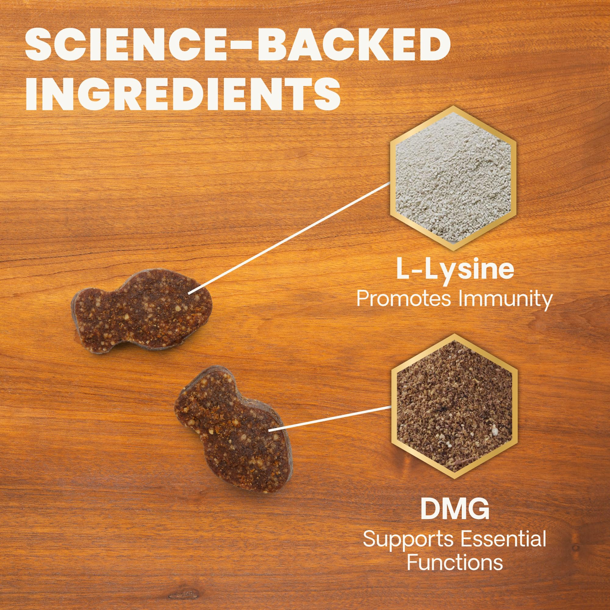 Envase de VetriScience Lysine Immunity Health, práctico para uso diario.