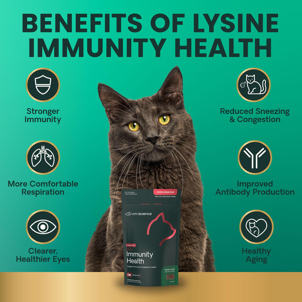 Lysina y DMG, ingredientes clave para soporte inmune y reparación tisular felina.