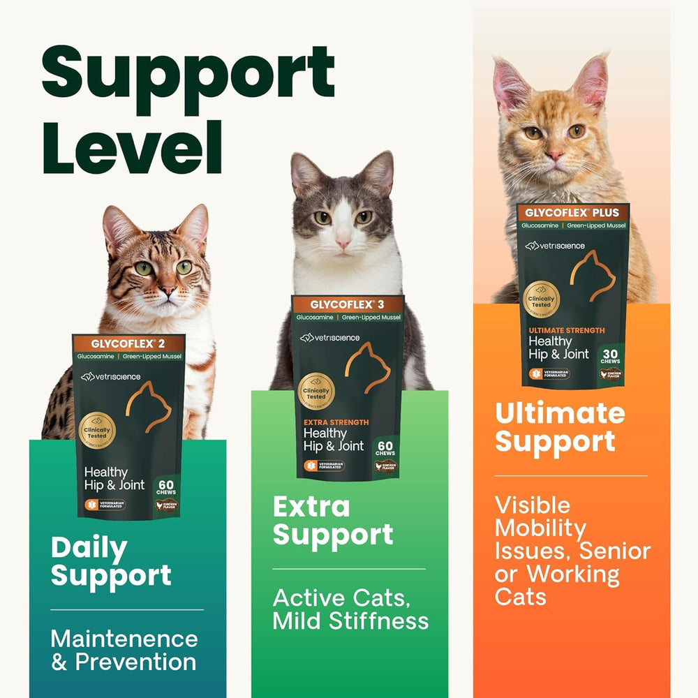 VetriScience masticables para gatos, favorecen la movilidad diaria.