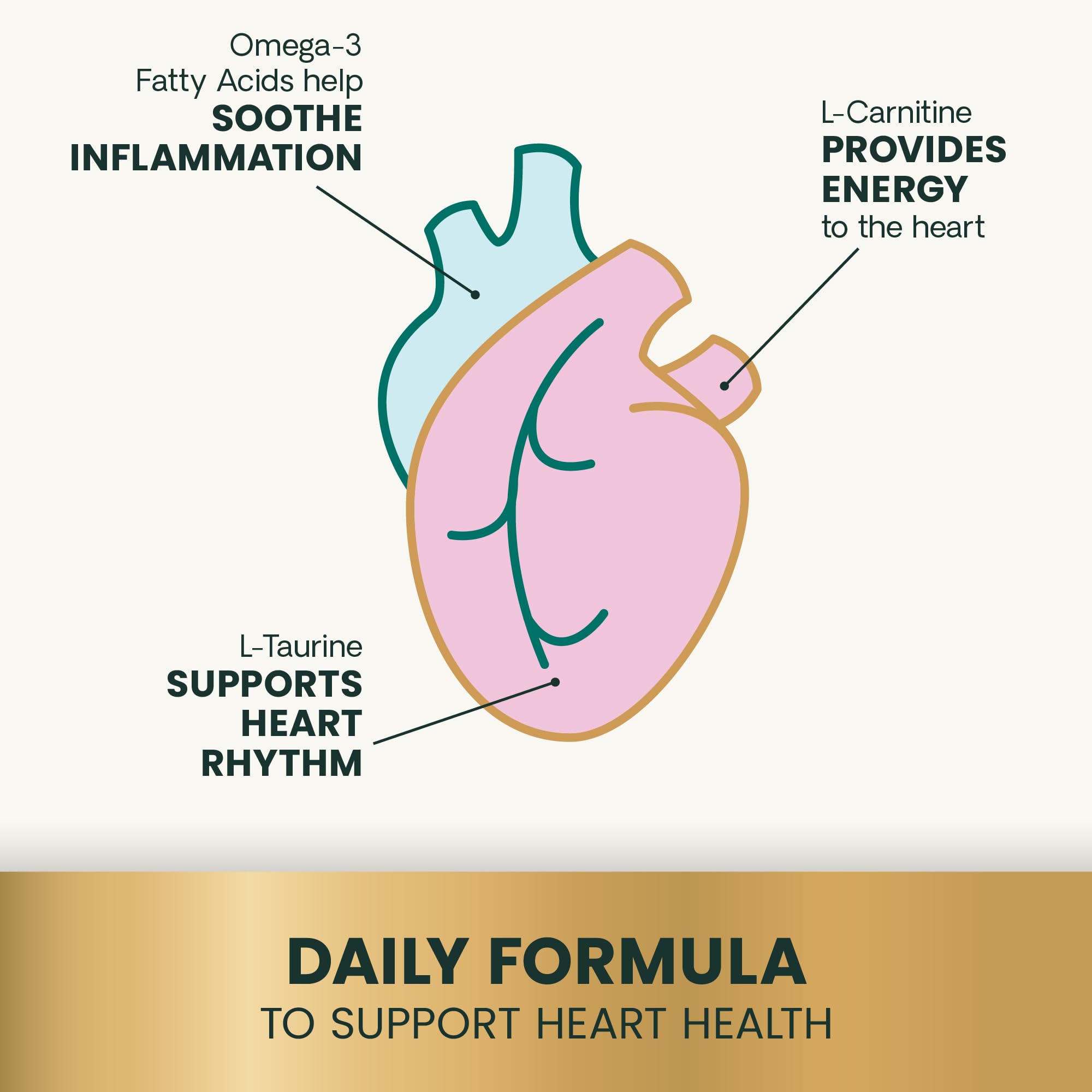 VetriScience Omega Healthy Heart apto para perros y gatos con formula dual-especies.