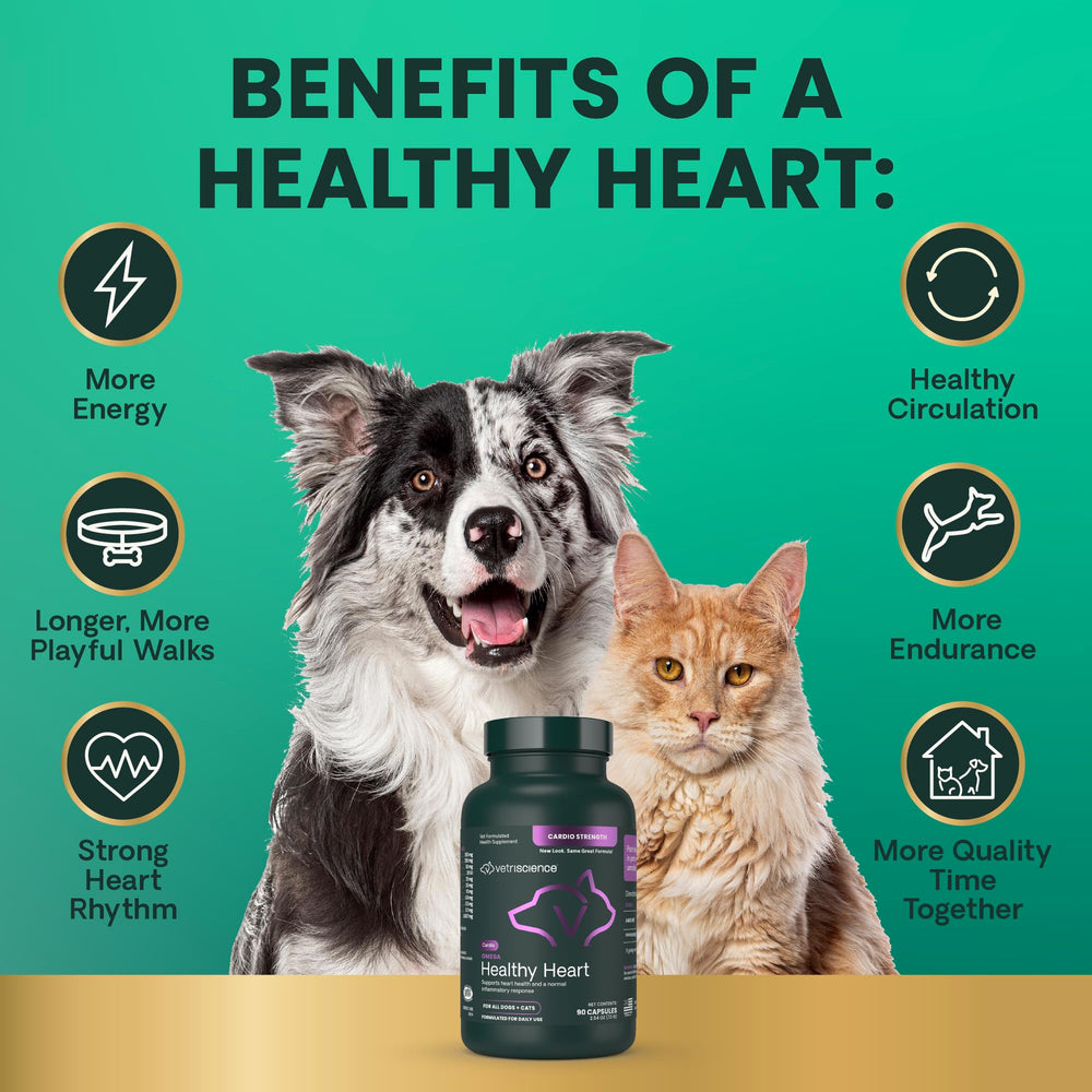 VetriScience Omega Healthy Heart envase de 90 capsulas para uso sostenido.