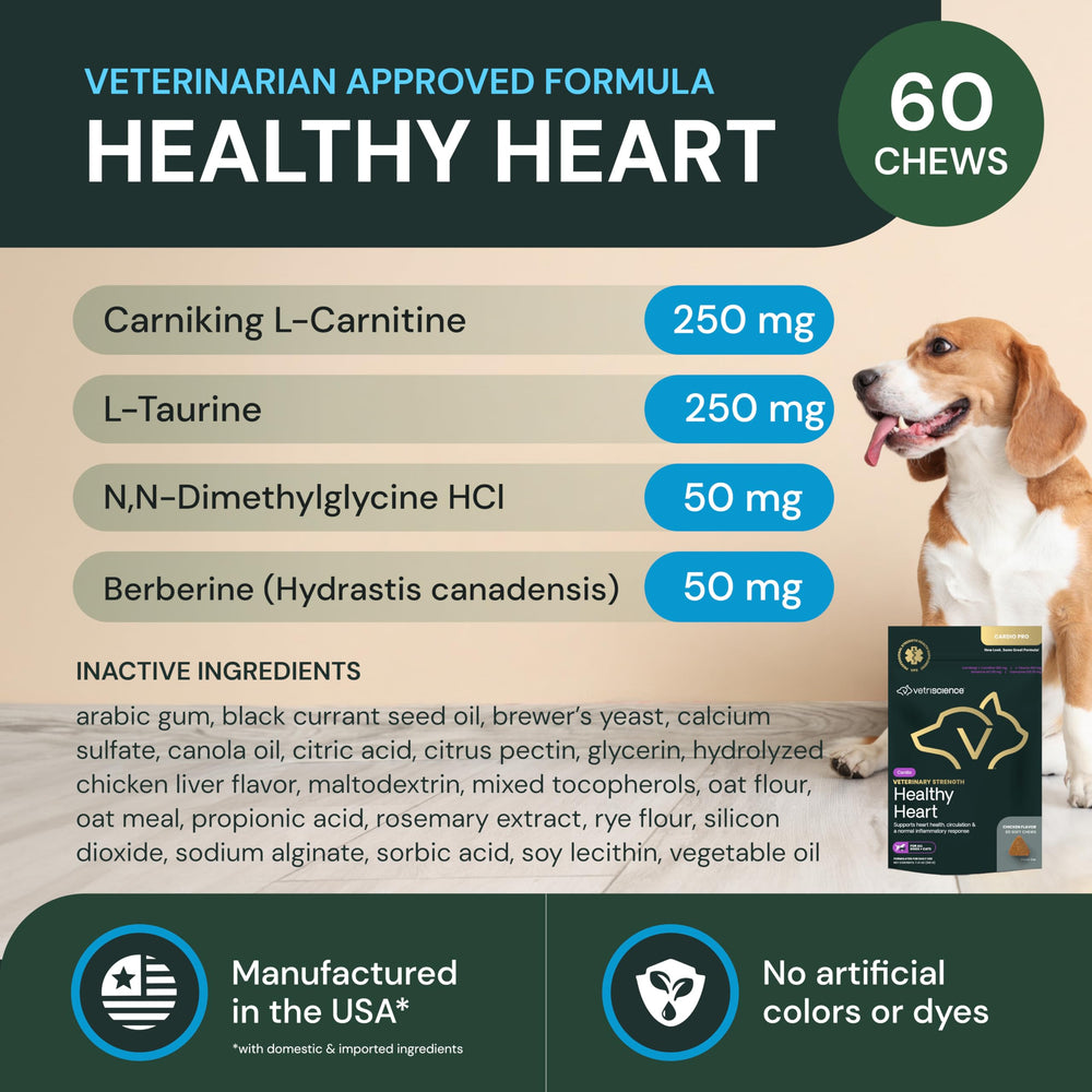 Perro comiendo gomita VETRISCIENCE, muestra palatabilidad y energía diaria.