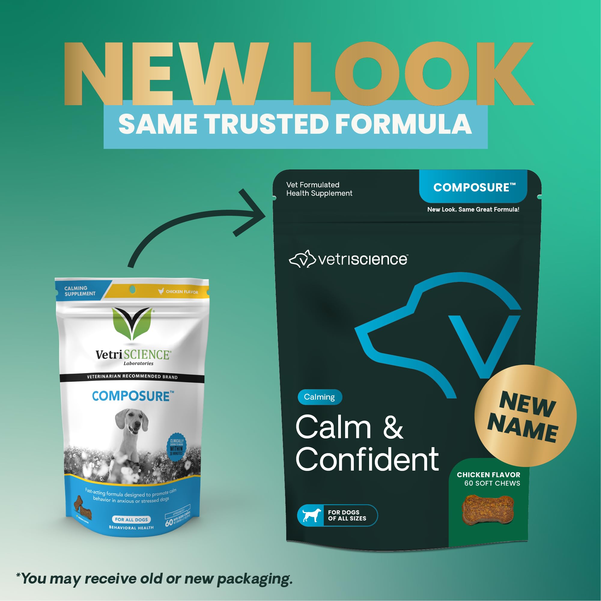Perro relajado tras las masticables calmantes de VetriScience