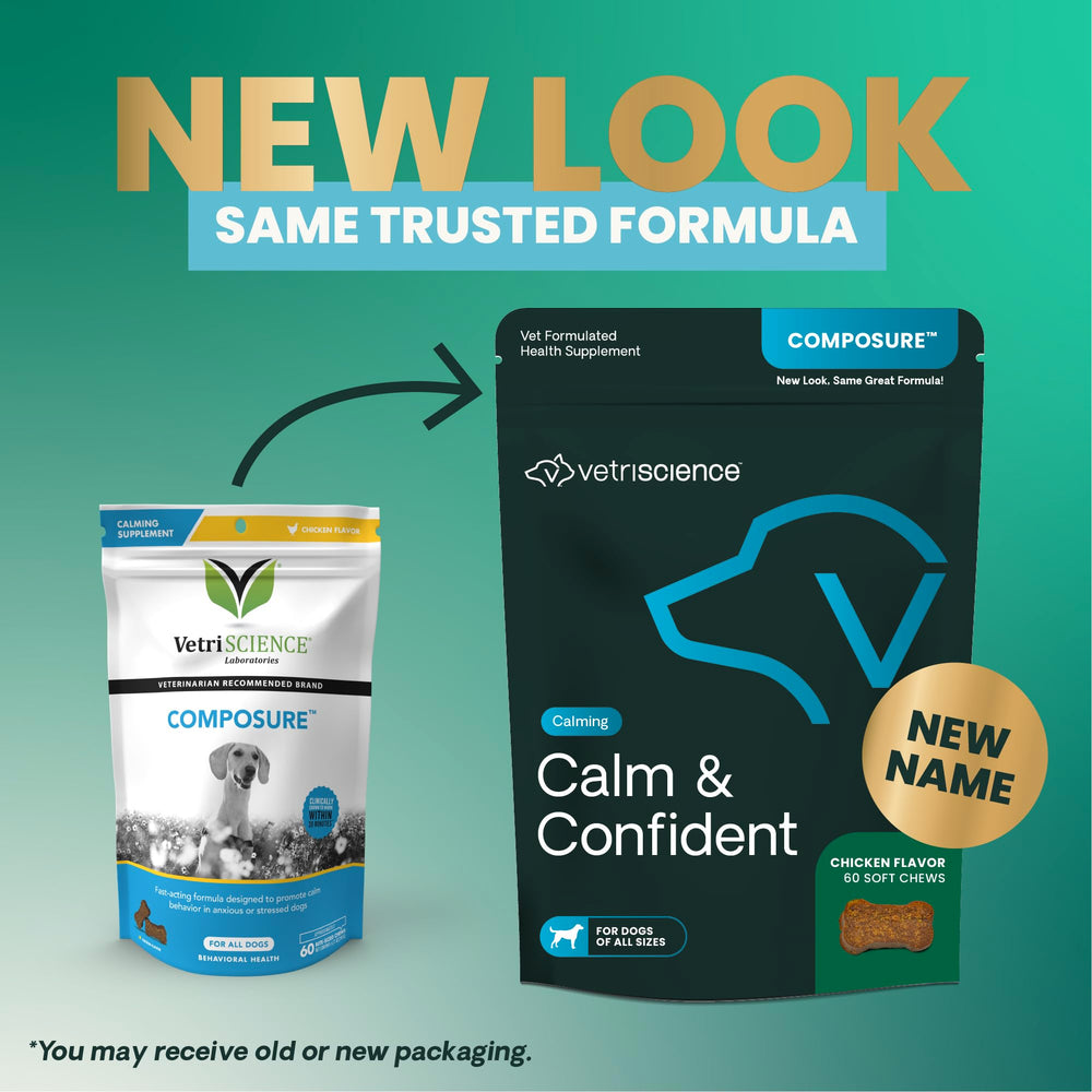 Perro relajado tras las masticables calmantes de VetriScience