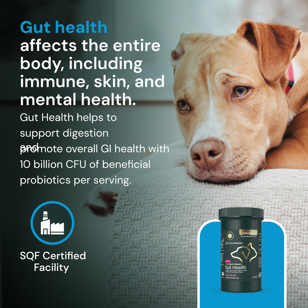 VetriScience apoyo a la inmunidad y salud intestinal de mascotas.