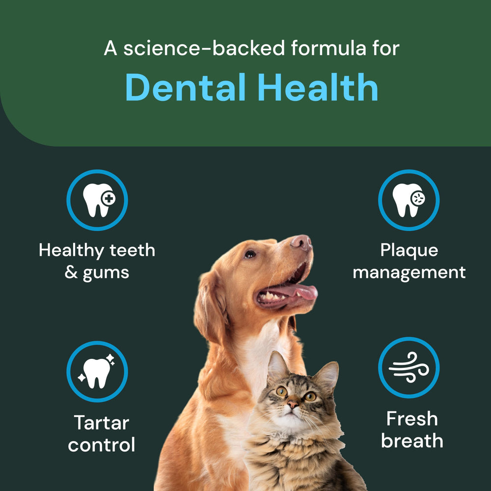 VETRISCIENCE polvo dental aliento más fresco tras la alimentación.