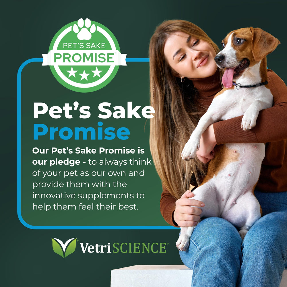 VETRISCIENCE polvo dental uso diario para higiene oral de mascotas.