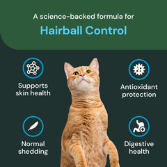 Textura en gomitas digestivas de VetriScience para gatos, fácil de masticar.