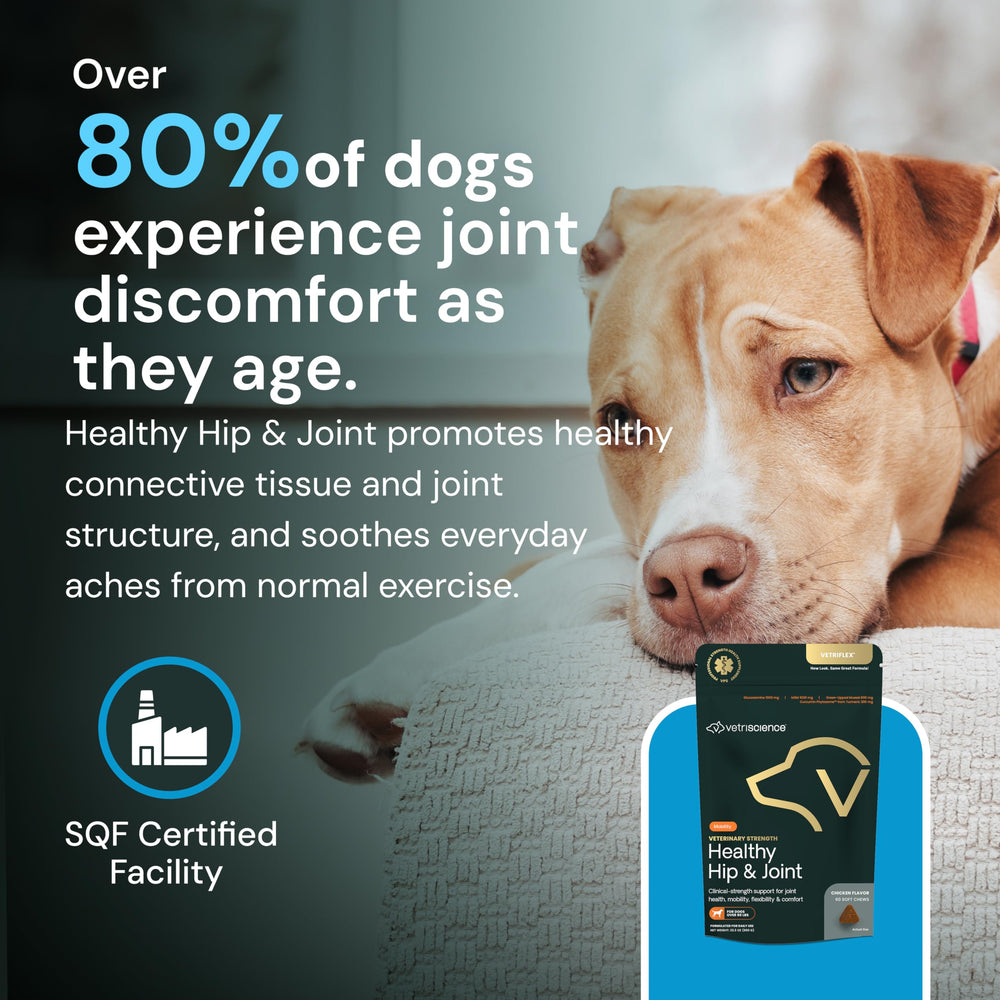 VetriScience textura sabrosa, chuches atractivas para perros.