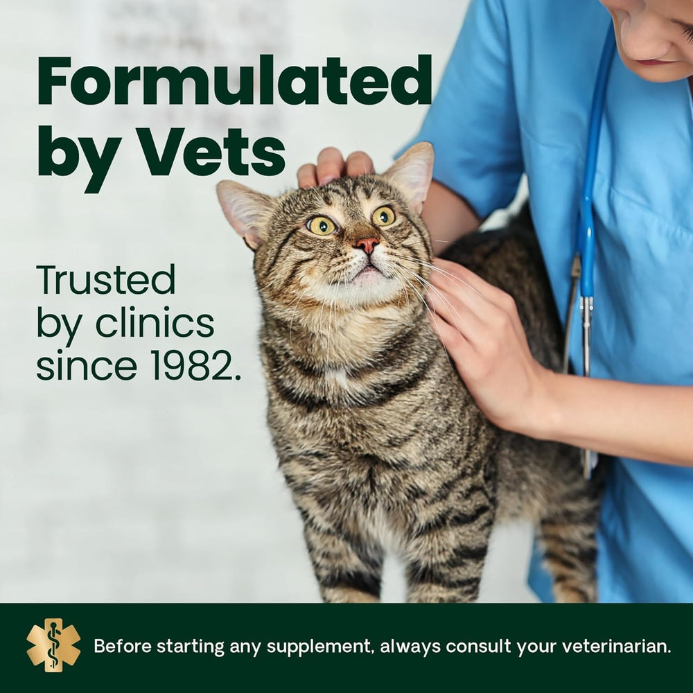 VetriScience uso diario para gato, rutina simple de cuidado articular